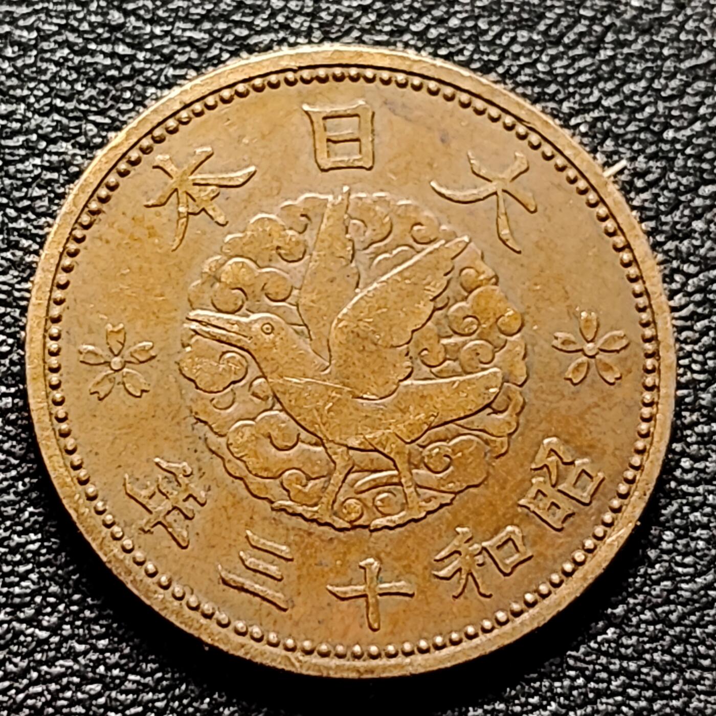 泉币菌-第97场-散币乐园场