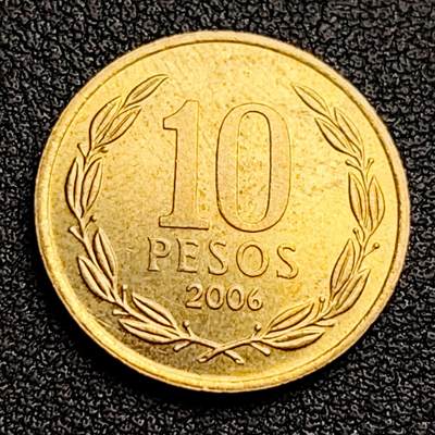 泉币菌-第98场-散币乐园场 。