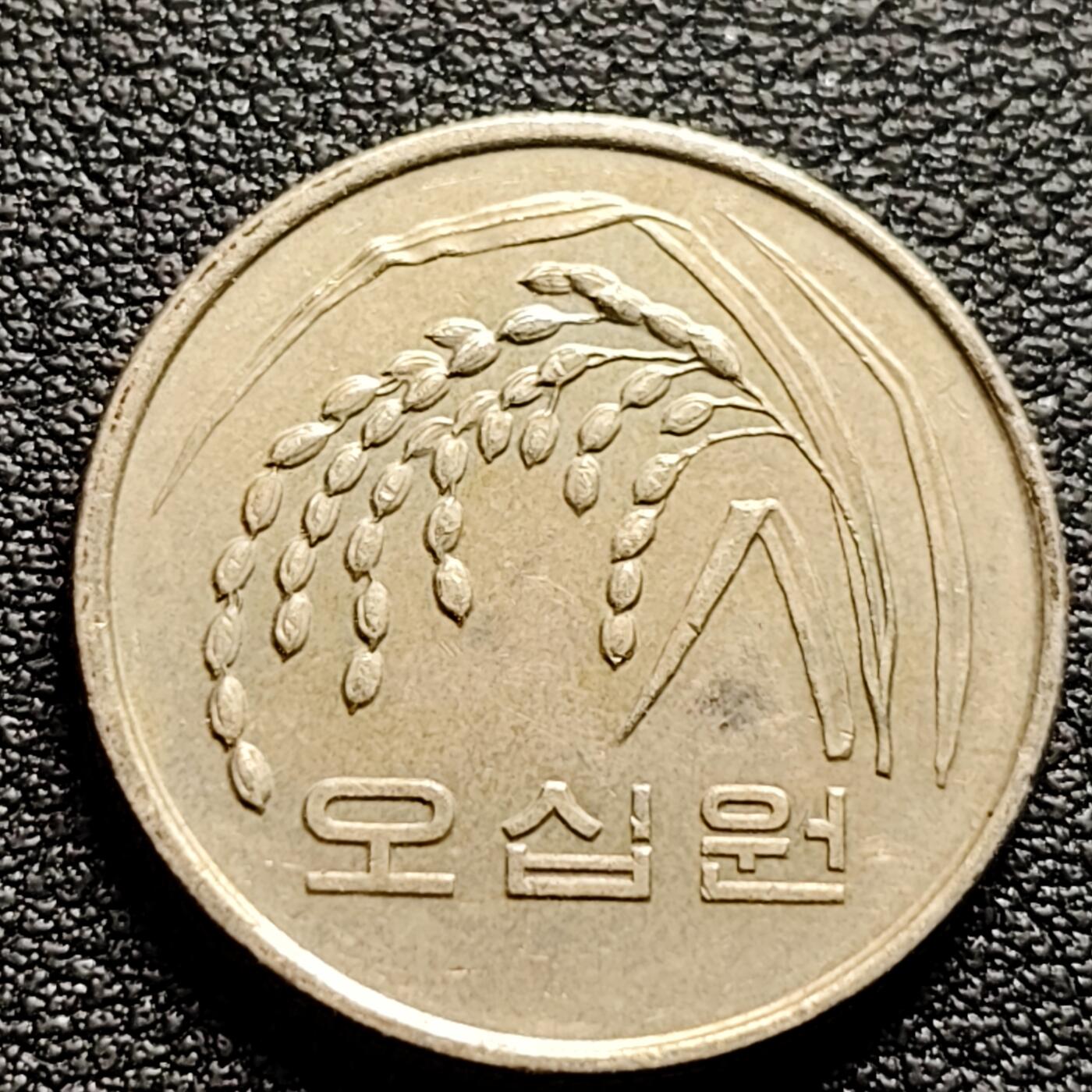 泉币菌-第97场-散币乐园场