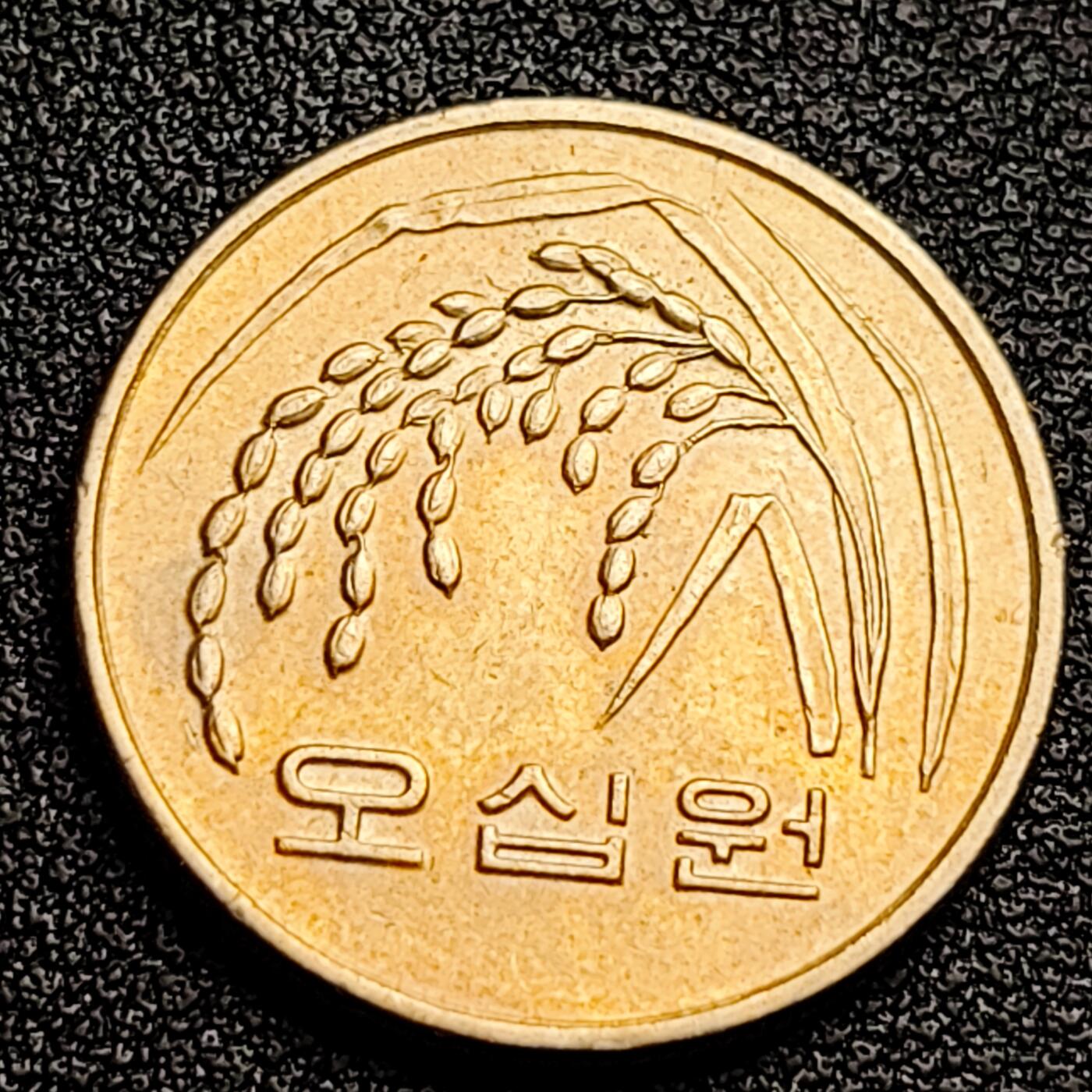 泉币菌-第99场-精品福利场