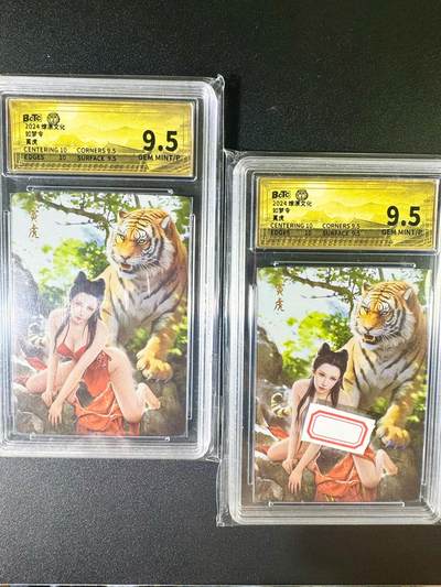 NO.6期 应有尽有，量大管饱！（周六晚7点半截拍，卖家送拍0抽成！）  - 燎原 如梦令 巴丁 寅虎 双服饰彩闪一对  9.5G/P
