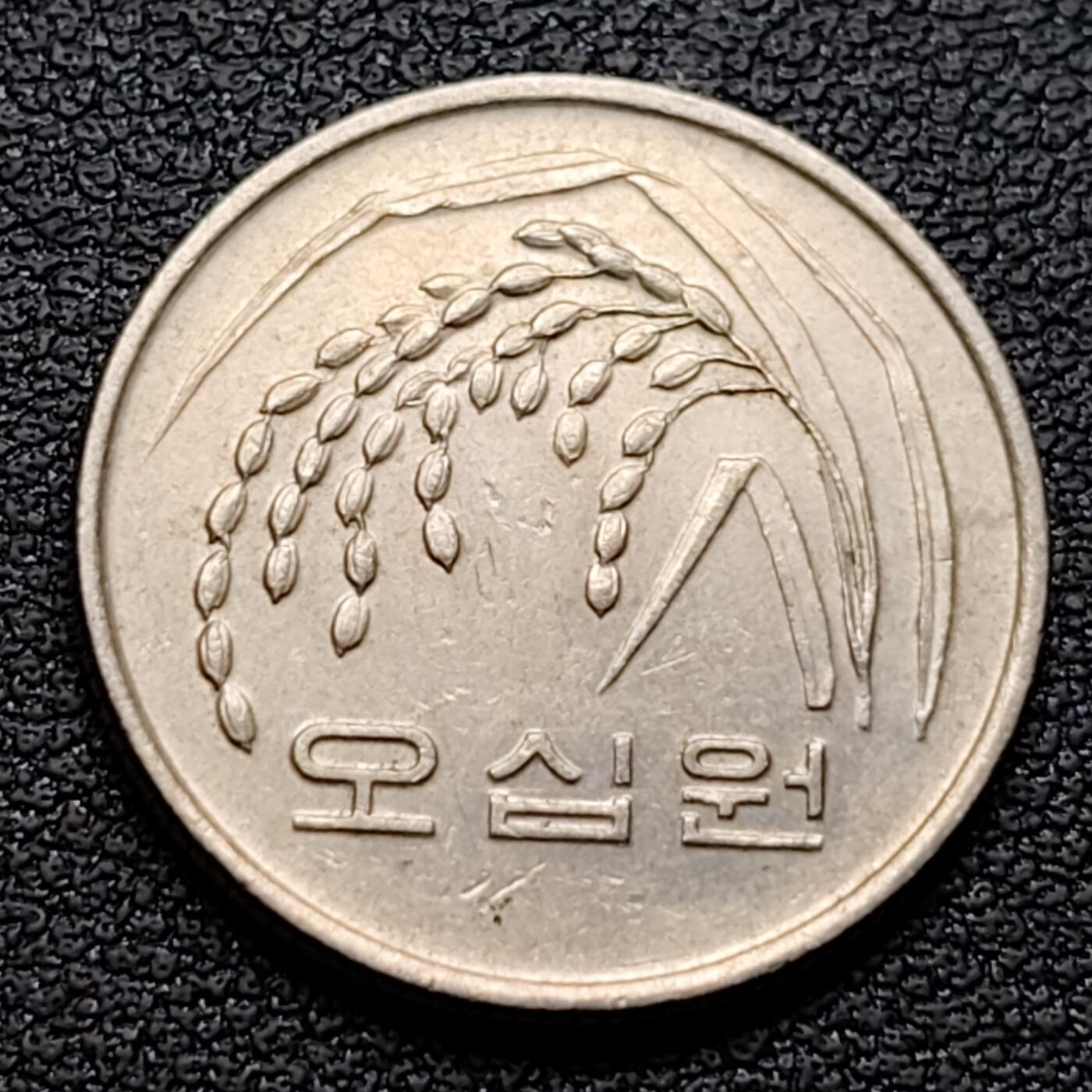 泉币菌-第96场-精品福利场
