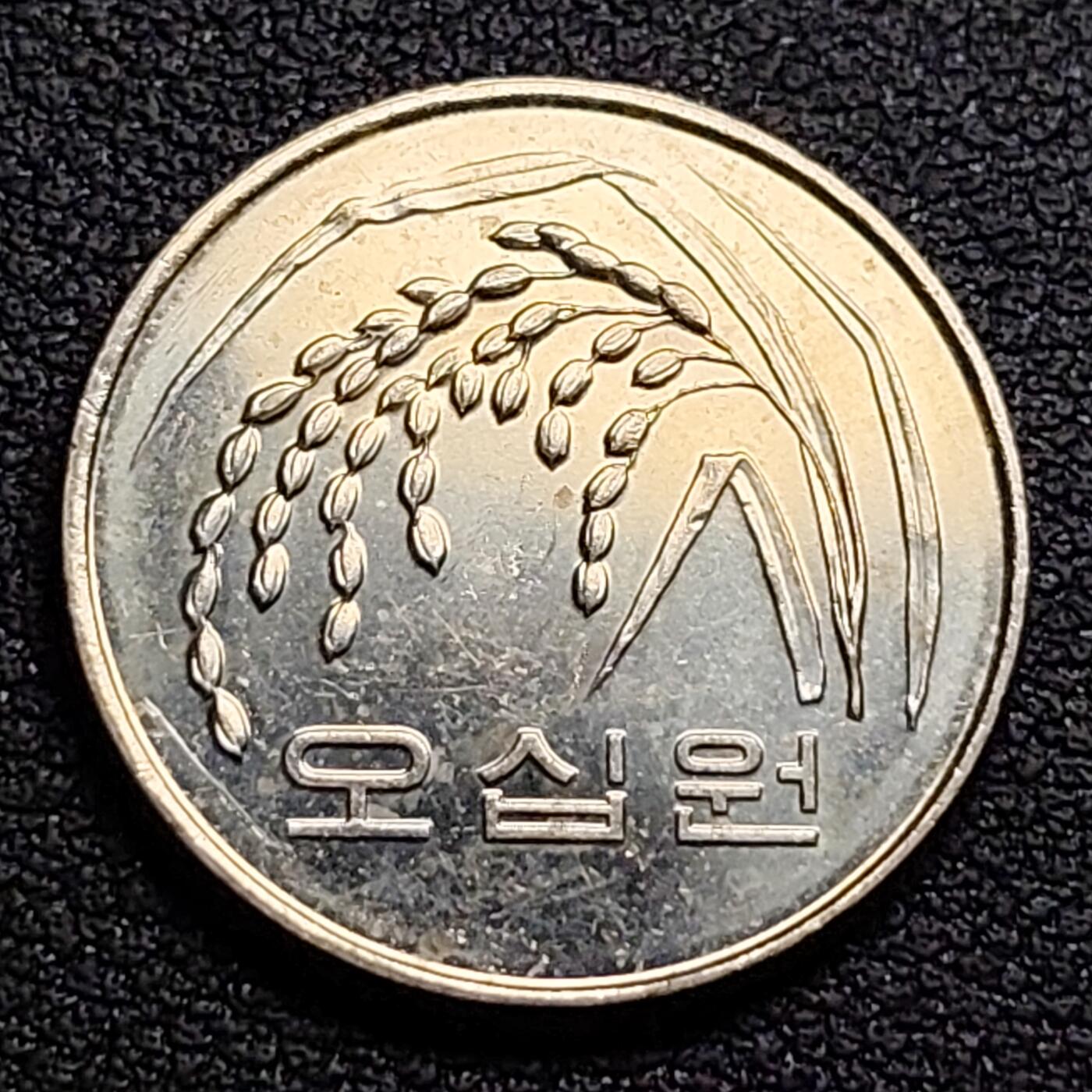 泉币菌-第96场-精品福利场