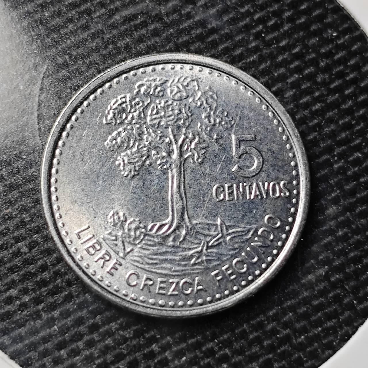 KK钱币收藏小铺 第329期 2月预留时间 周末发货 危地马拉5分 