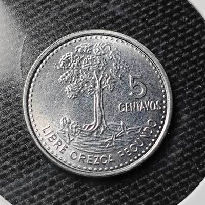 KK钱币收藏小铺 第329期 2月预留时间 周末发货 - 危地马拉5分 