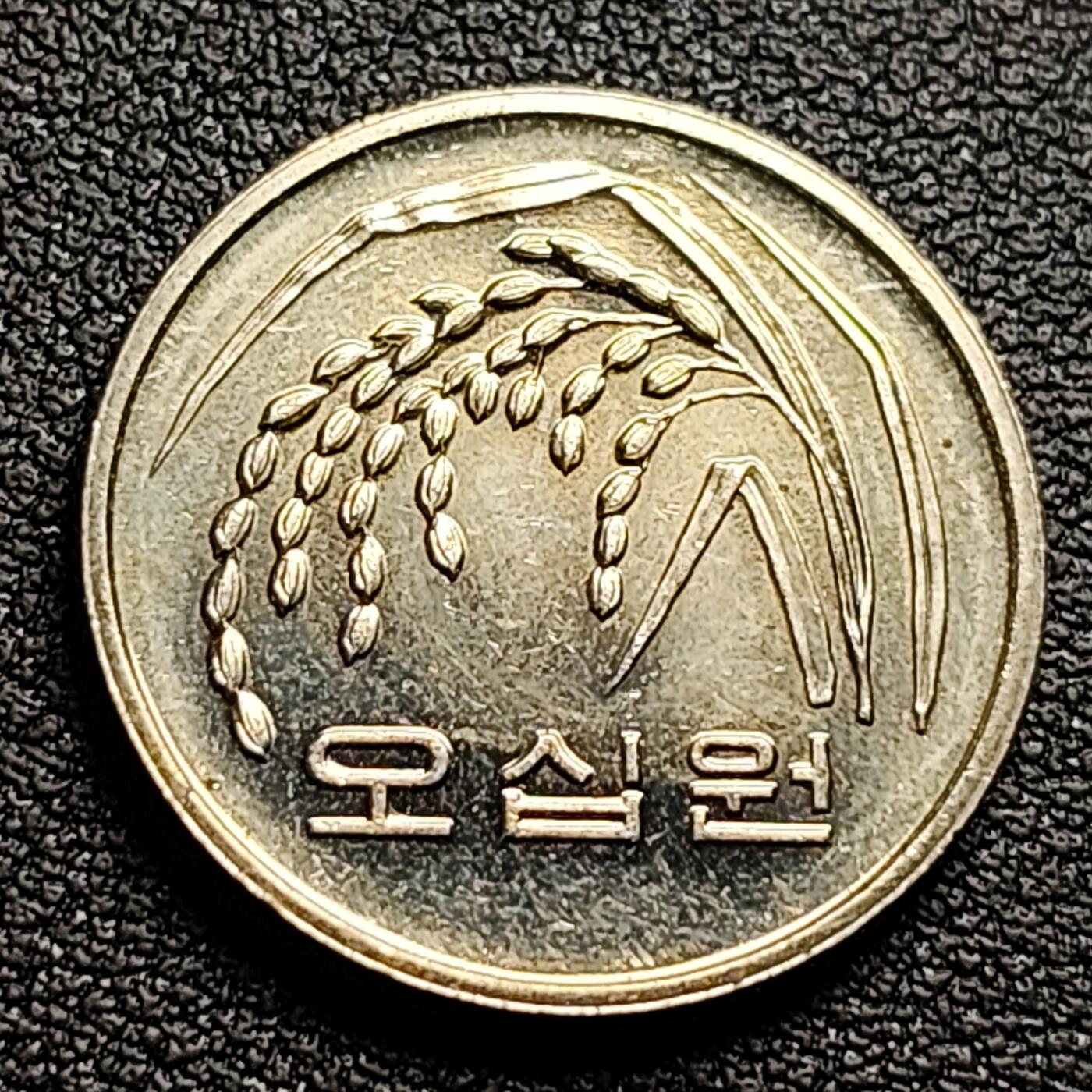 泉币菌-第98场-散币乐园场