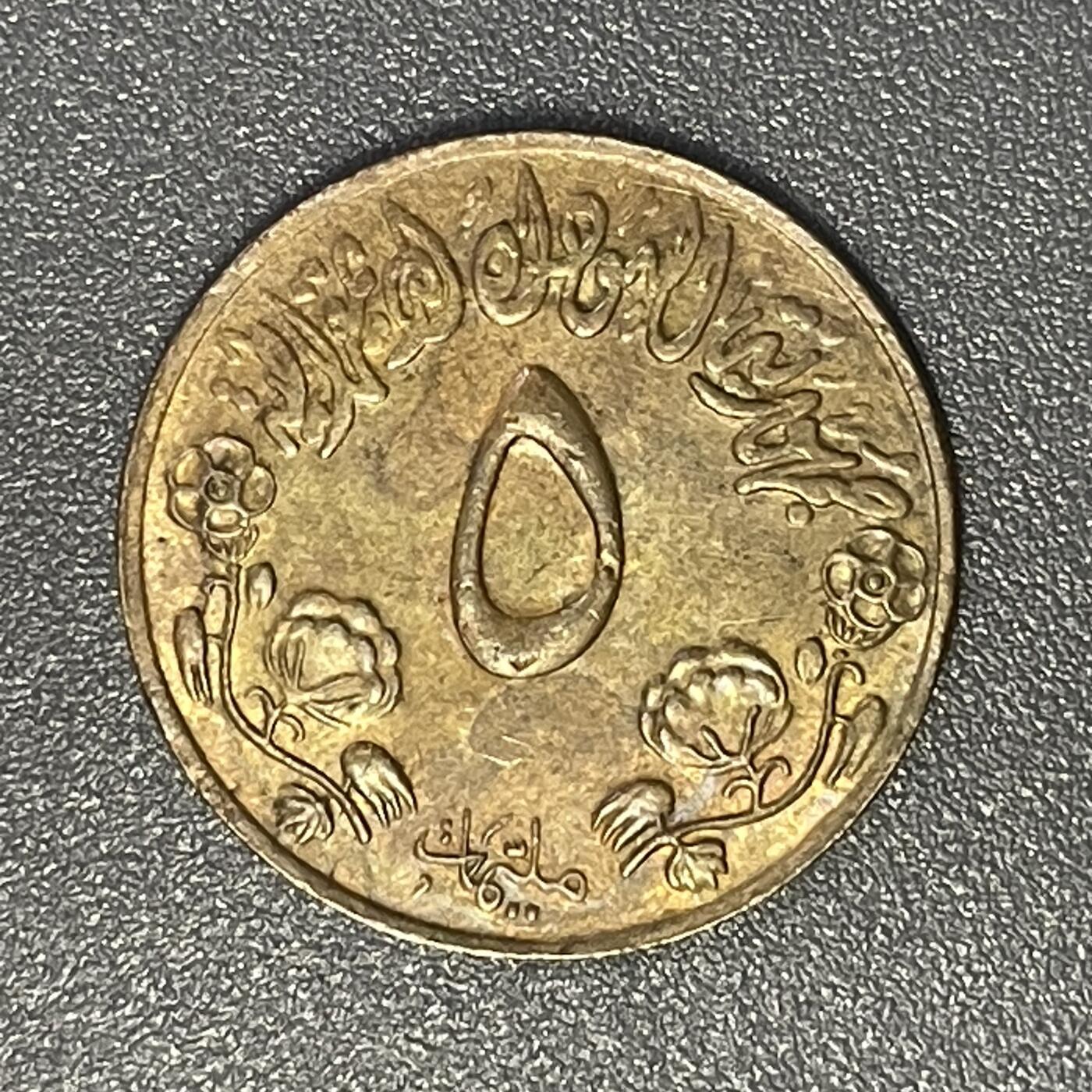 回流0825