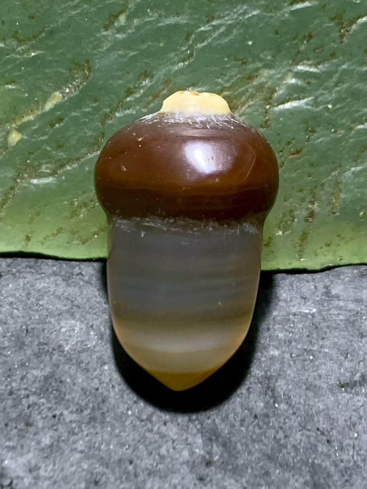 高玉化巴西玛瑙手工俏色巧雕随形橡果吊坠一个