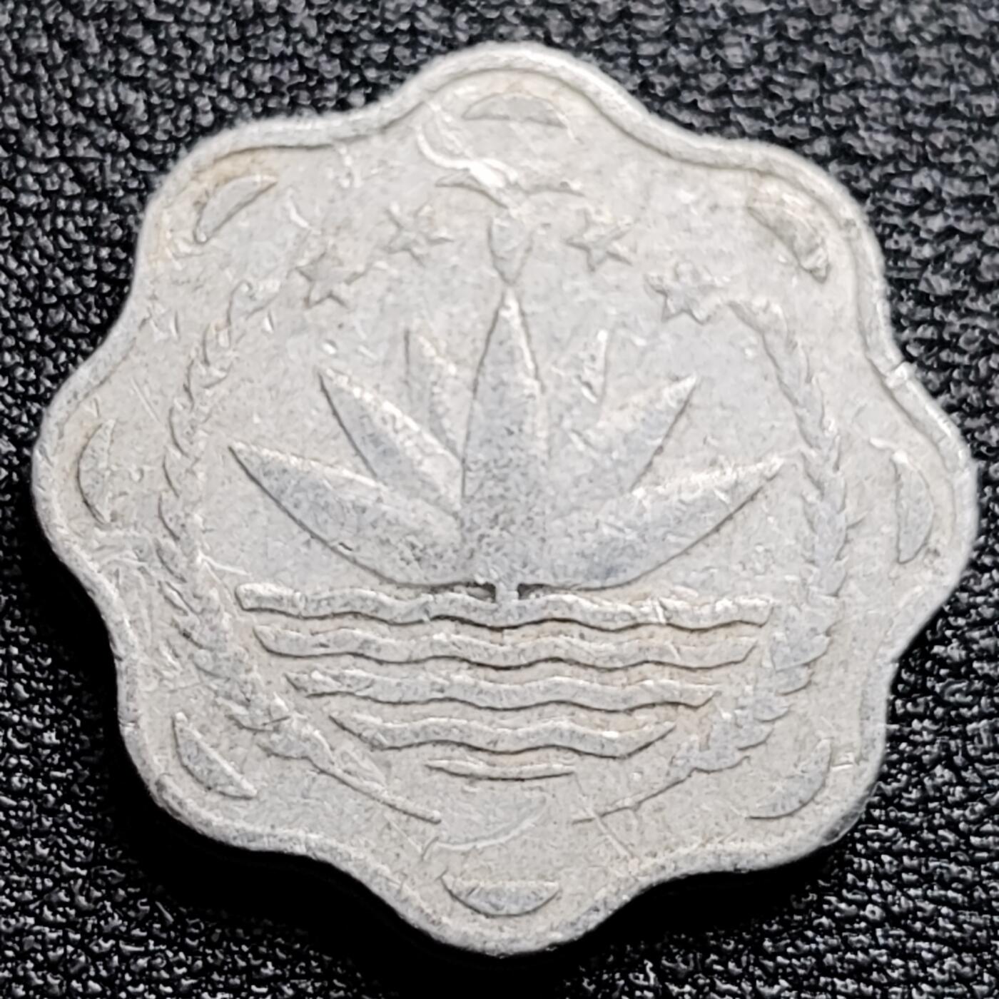 泉币菌-第100场-百场纪念 精品场