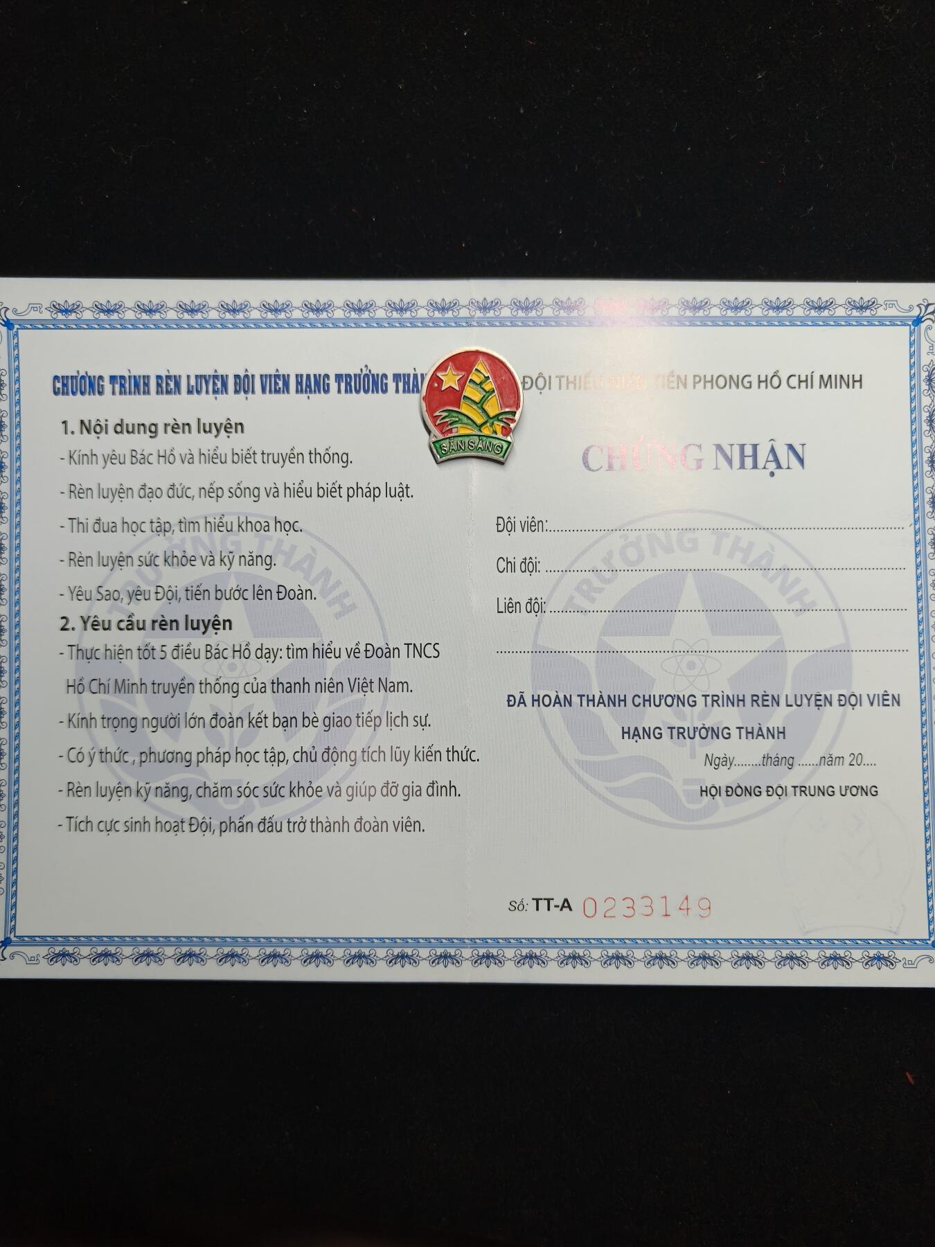 蜀地medal第11场精品专场拍卖 越南少年先锋团证章一套 2