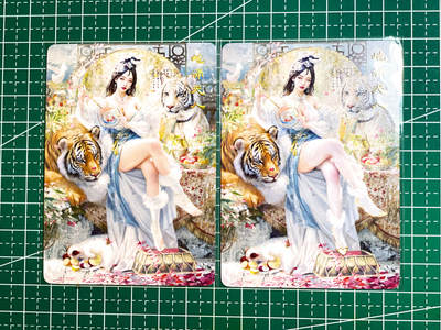 【关注参拍有赠卡】显眼宝29期  奇奇怪怪专场 - 燎原卡牌 焱卡文化 妖姬传 刷子 地涌夫人 普卡一对2张 63*88