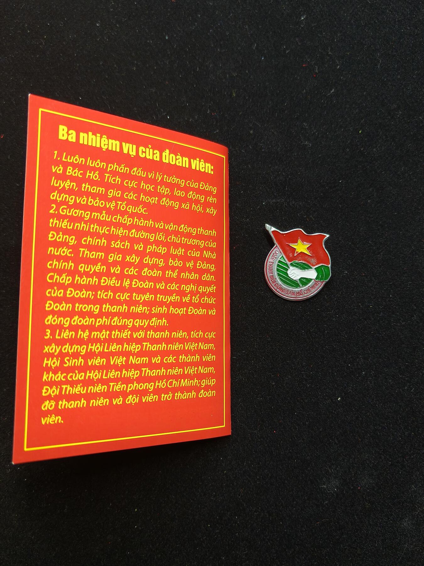 蜀地medal第11场精品专场拍卖 越南共青团证章 2