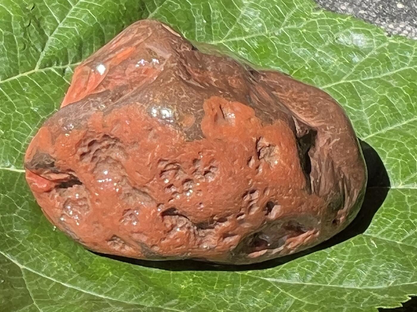 零元拍：南红玛瑙手把石。约92克，开口满肉，红色便暗，纯天然，独一无二的（天然原石不可避免有瑕疵，裂纹，介意勿拍）因为拍照环境以及光线的变化，颜色以实物为准。成品很美丽，原石亦魅力无穷。