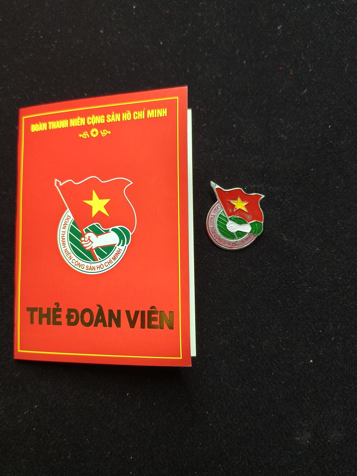 蜀地medal第11场精品专场拍卖 越南共青团证章 2