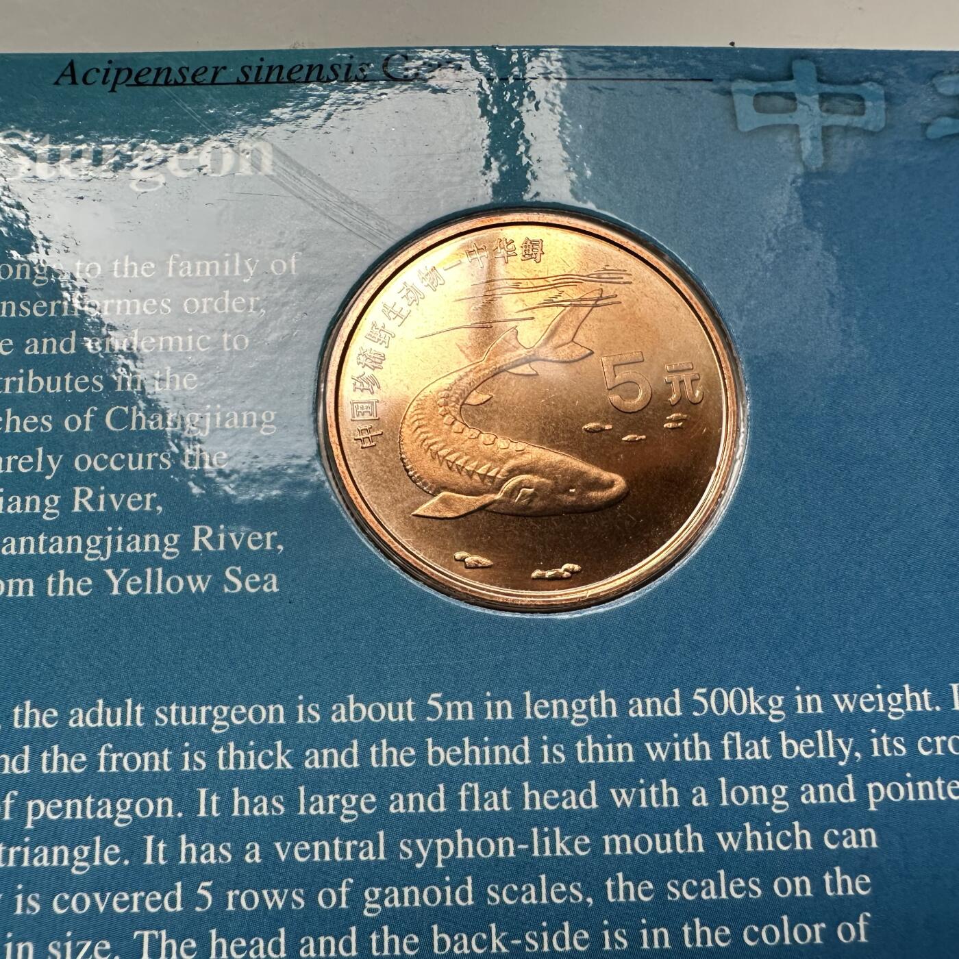 🌹外币初藏🌹🐯2025年第93场  每周二四六晚8️⃣点 接代拍 1999年中华鲟¥5纪念币 康银阁装帧