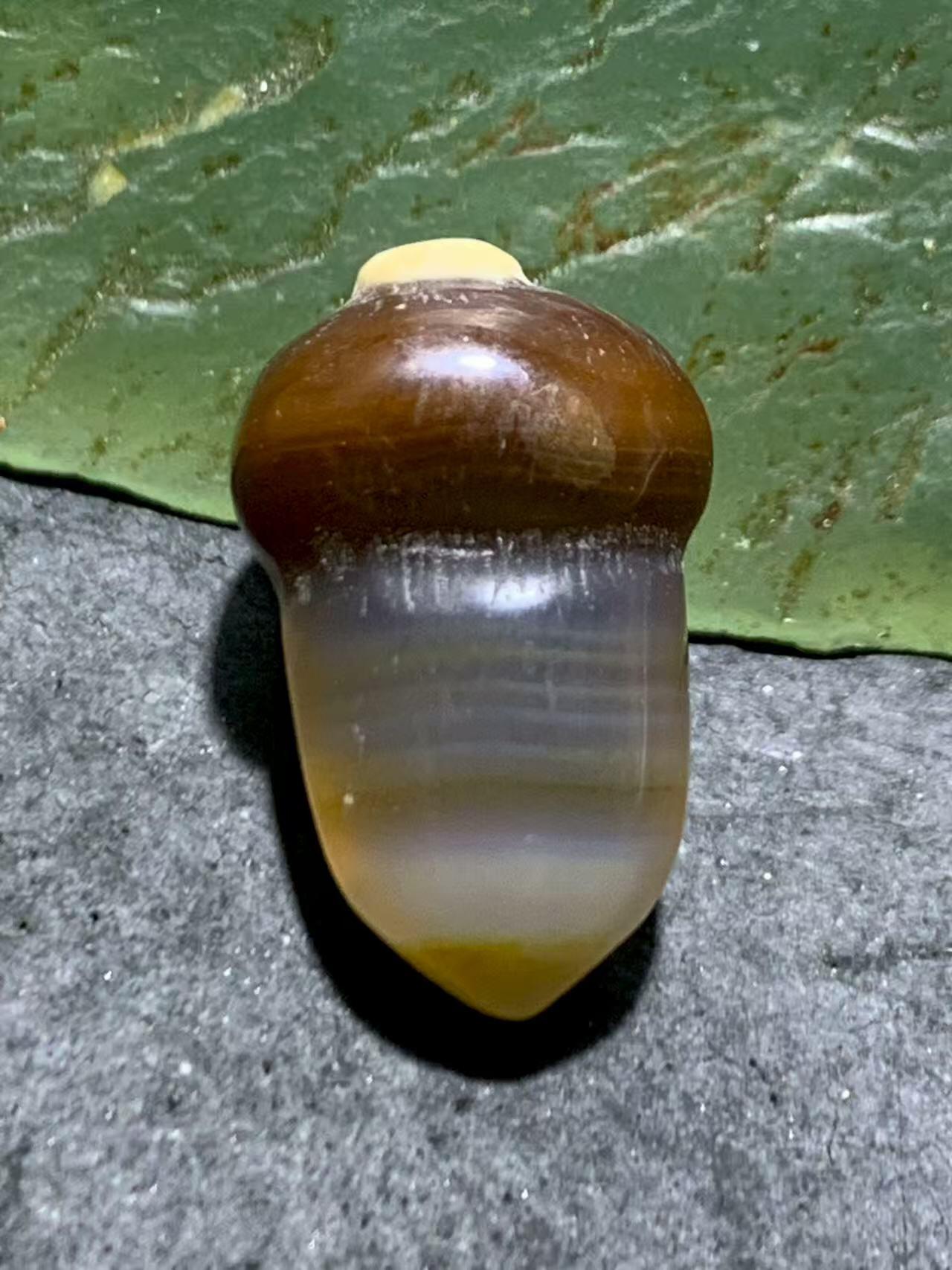 高玉化巴西玛瑙手工俏色巧雕随形橡果吊坠一个