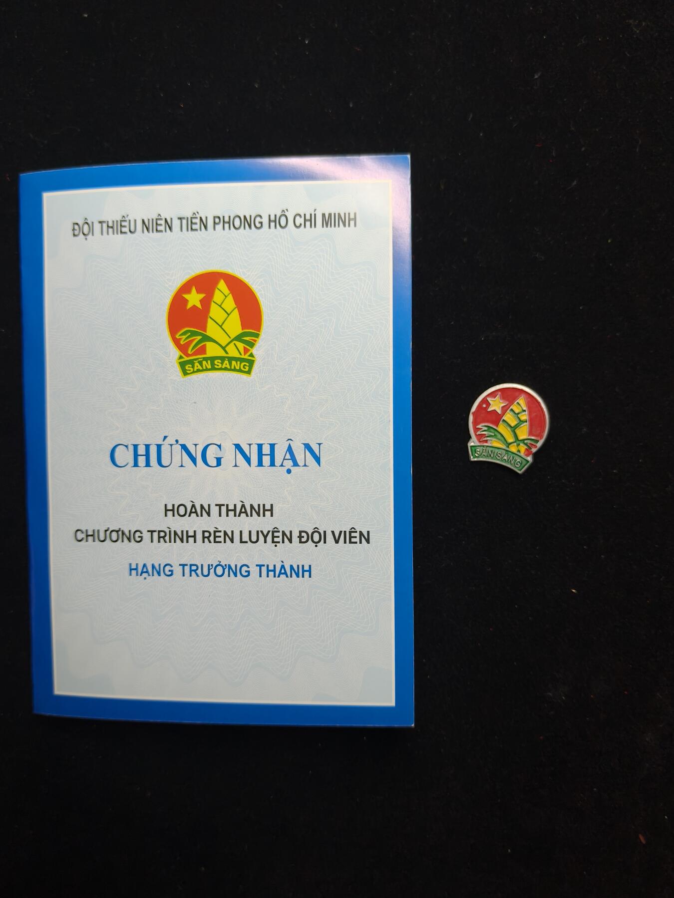 蜀地medal第11场精品专场拍卖 越南少年先锋团证章一套 2