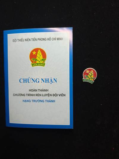 蜀地medal第11场精品专场拍卖 - 越南少年先锋团证章一套 2