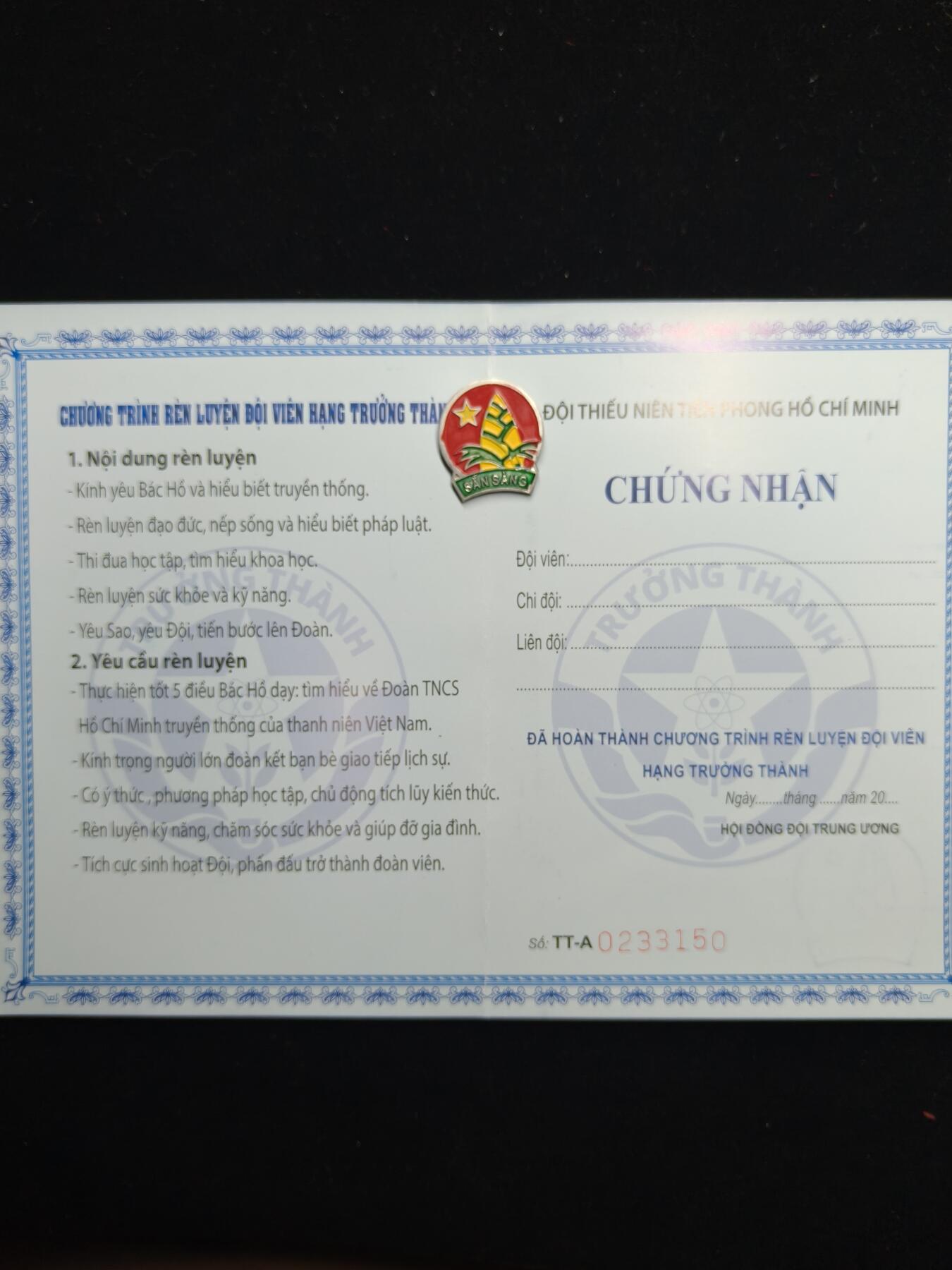 蜀地medal第11场精品专场拍卖 越南少年先锋团证章一套 1