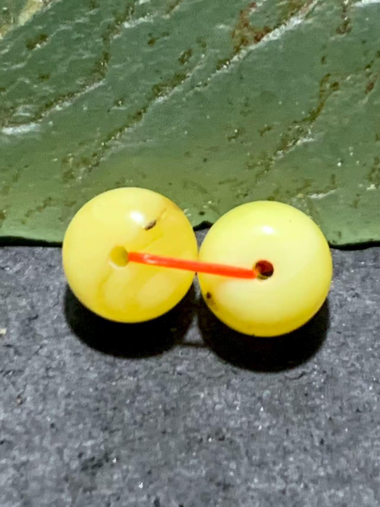 天然俄料原矿蜜蜡小尺寸老形桶珠腰珠两颗，