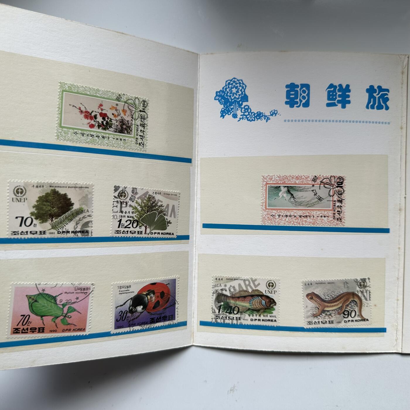 🌹外币初藏🌹🐯2025年第93场  每周二四六晚8️⃣点 接代拍