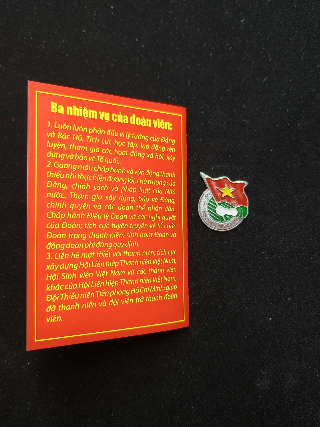 蜀地medal第11场精品专场拍卖 越南共青团证章 1