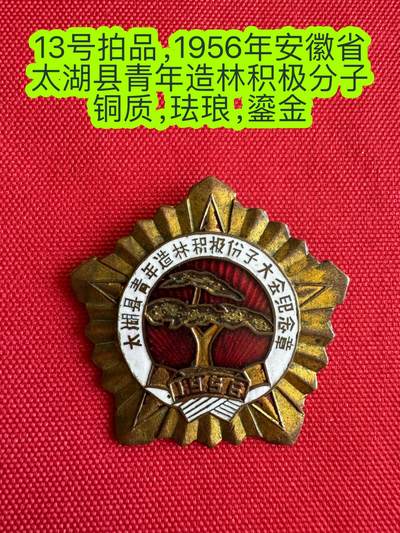 五哥徽章群   28号周四晚上八点4群联拍 - 1956