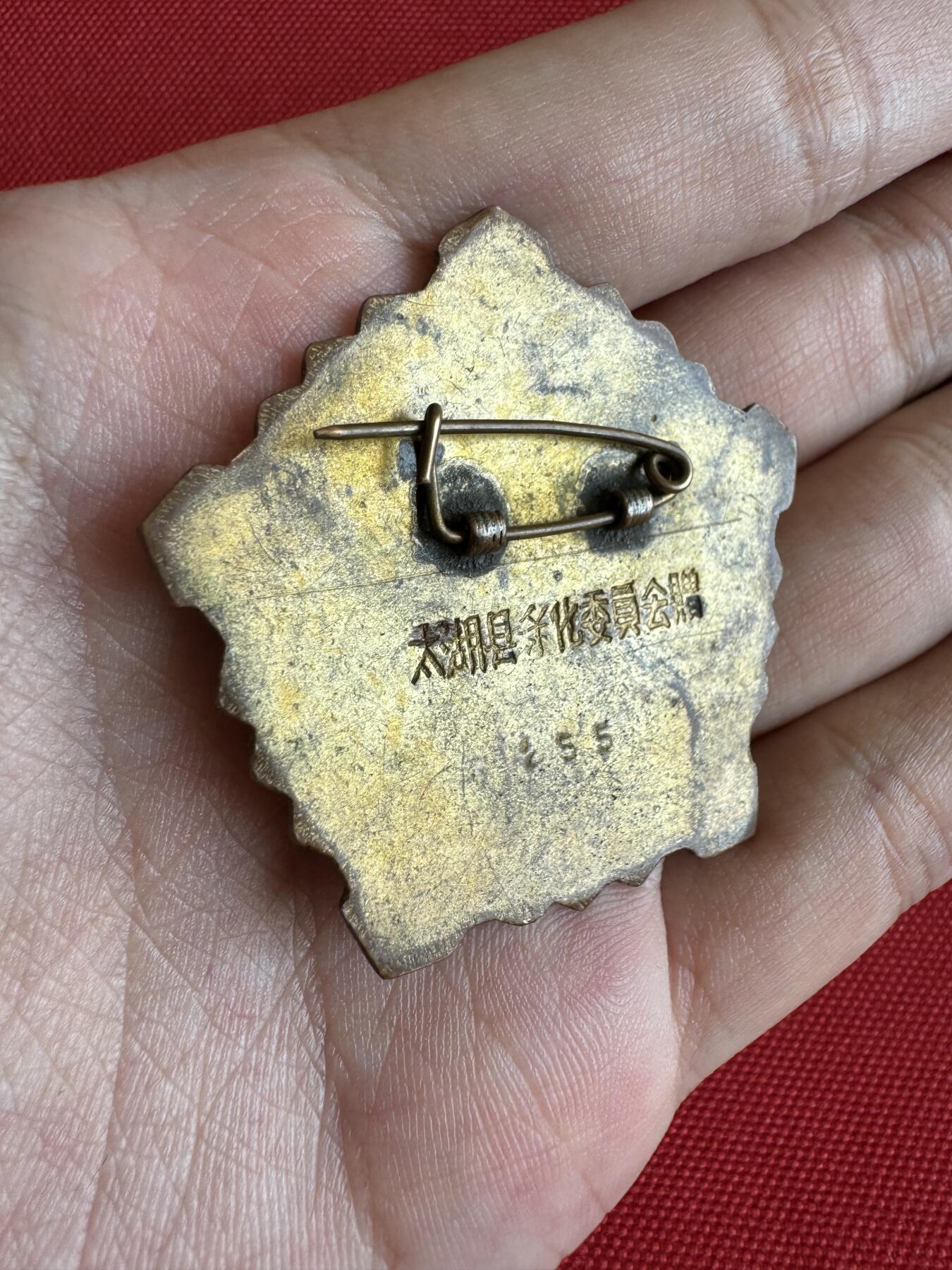 五哥徽章群   28号周四晚上八点4群联拍