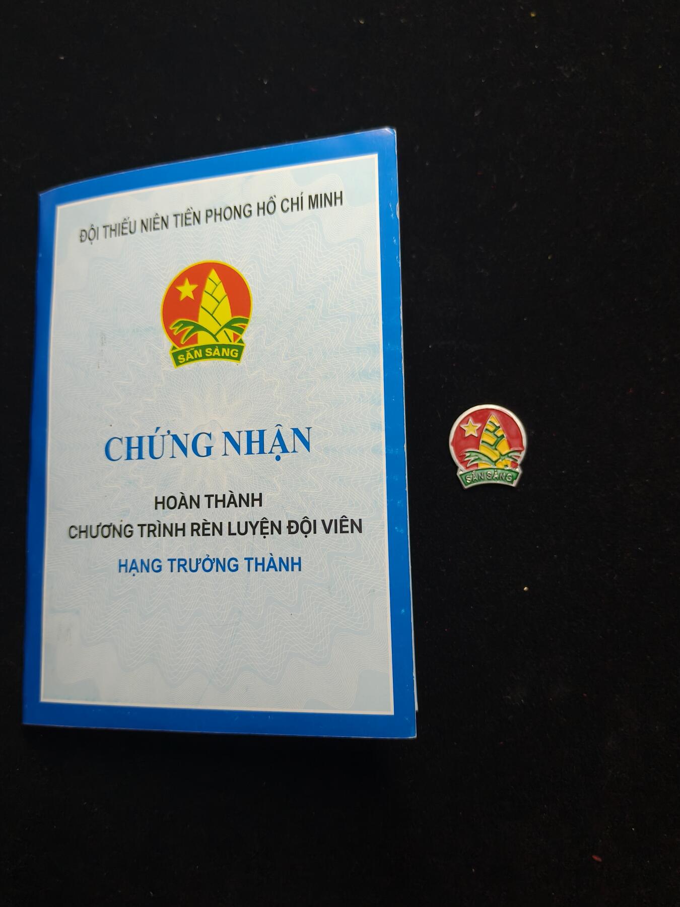 蜀地medal第11场精品专场拍卖 越南少年先锋团证章一套 1