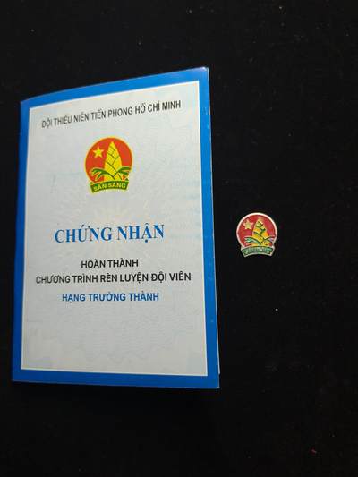 蜀地medal第11场精品专场拍卖 - 越南少年先锋团证章一套 1
