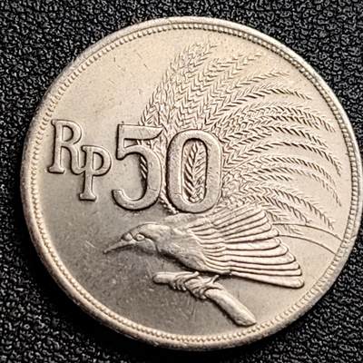 泉币菌-第100场-百场纪念 精品场 - 原光极美 印度尼西亚1971年 50卢比/盾 鹰徽天堂鸟 24mm