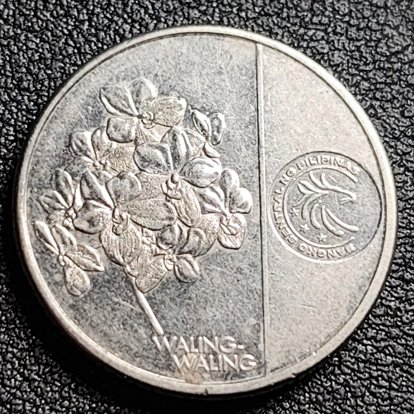泉币菌-第100场-百场纪念 精品场