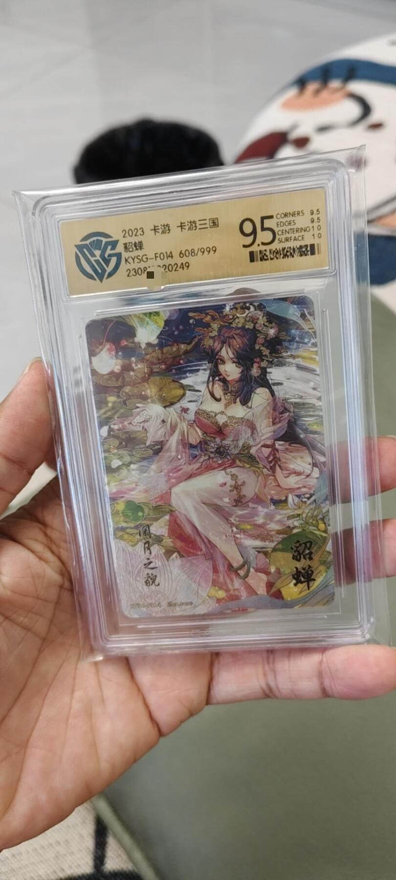 秋原瞳的小店第二十一期（一叶知秋，一夜知秋）