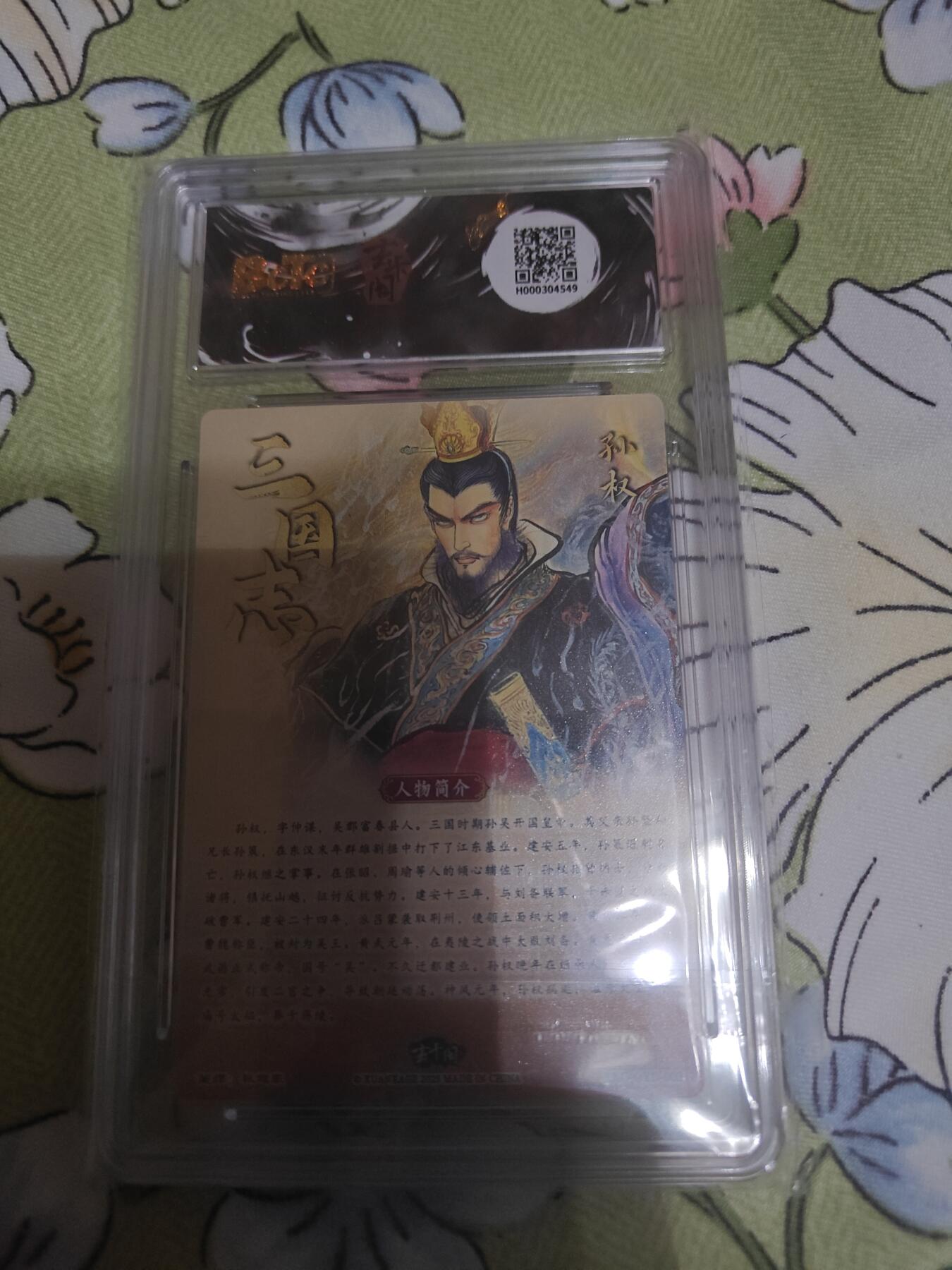 三国英雄志，孙权
