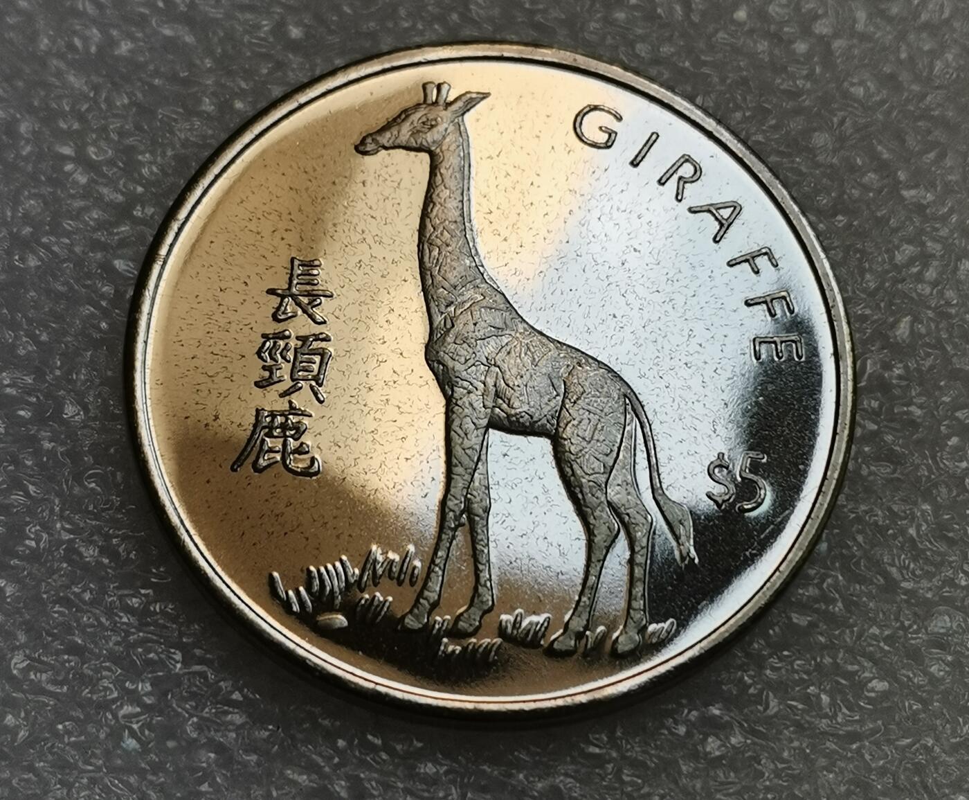 瓶子🏺第205期拍卖会