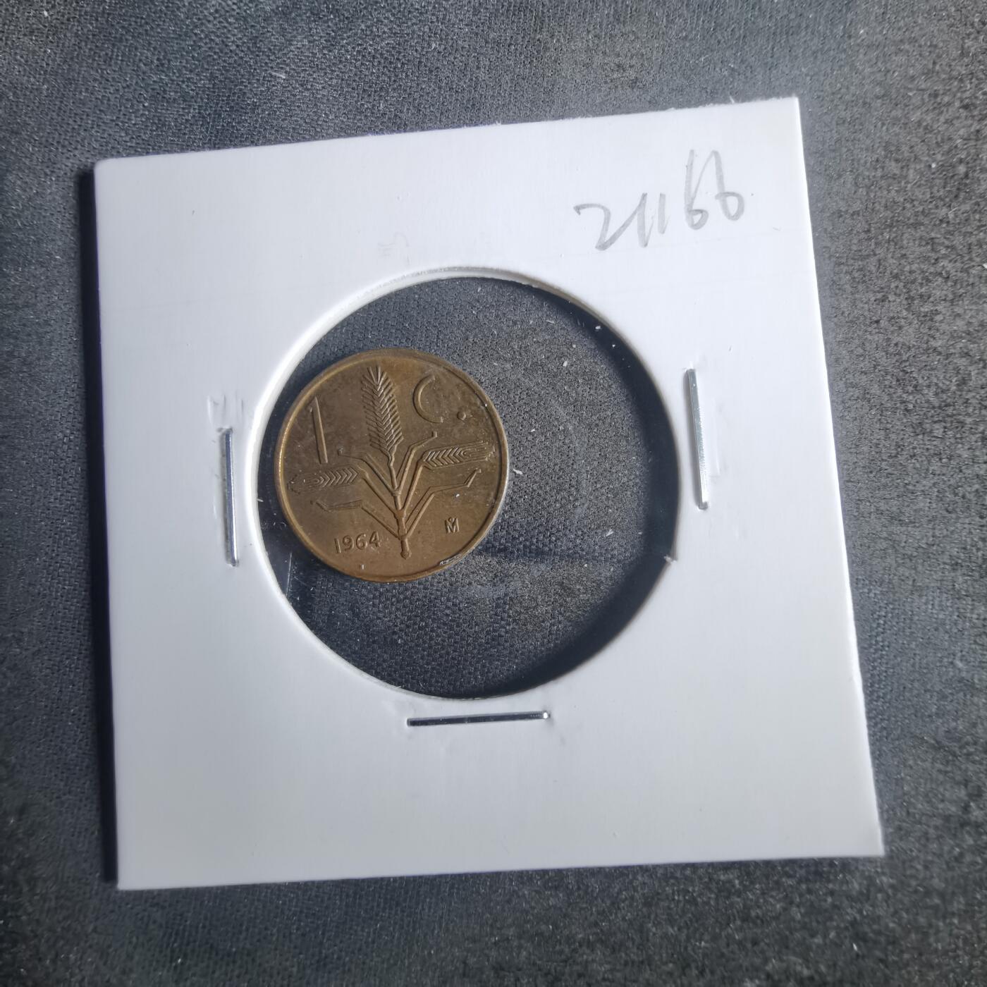 沼泽如烟--第821场