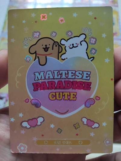 卡迷第5期，清仓 线条小狗 职业卡 14张