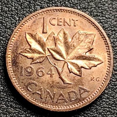 泉币菌-第100场-百场纪念 精品场 - 原铜光UNC 加拿大早期 1964年枫叶1分铜币 伊丽莎白二世 青年版 袖珍币