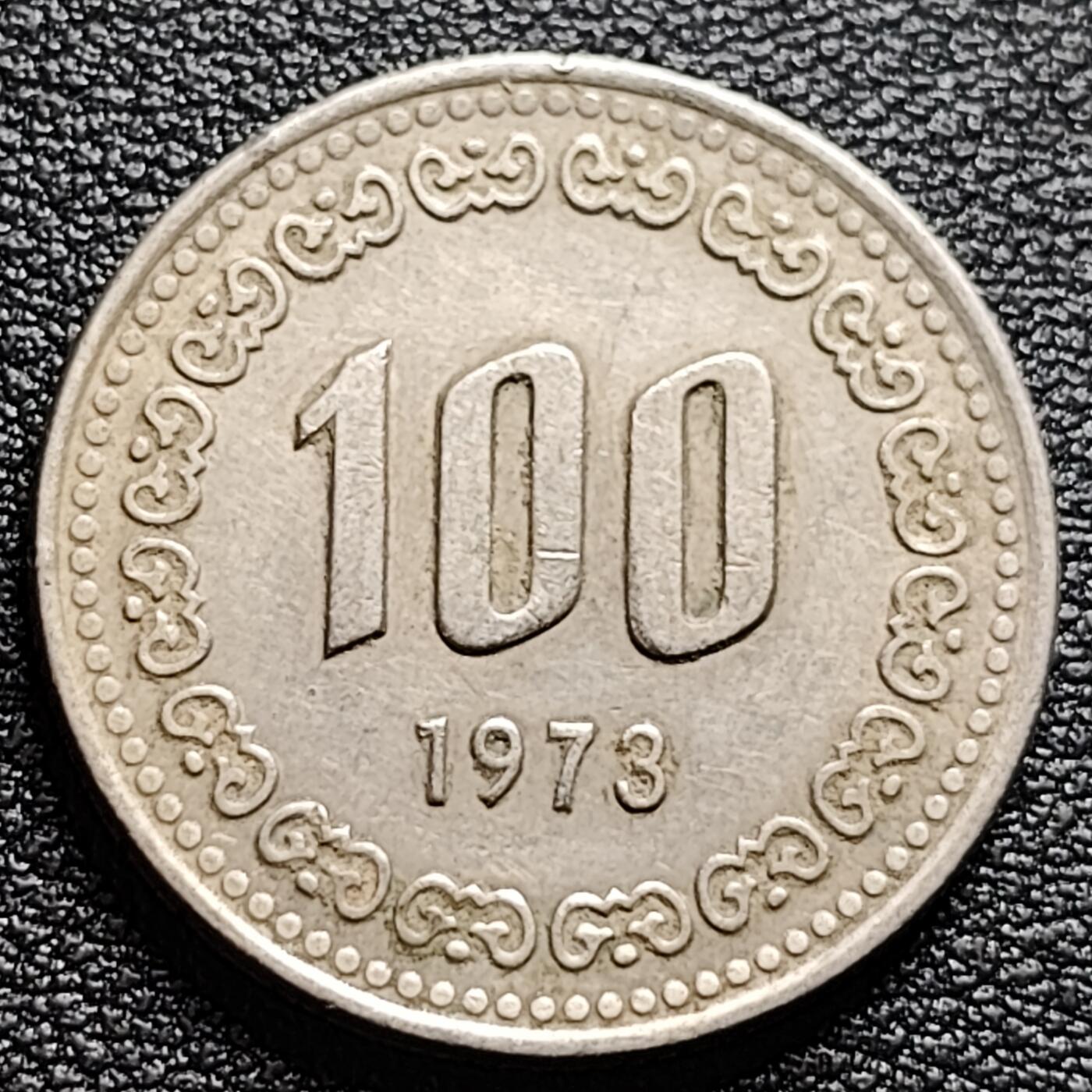 泉币菌-第100场-百场纪念 精品场