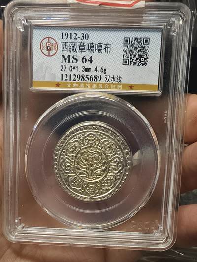 银元专场第二期（少量铜钱铜元） - 章嘎，公博64分