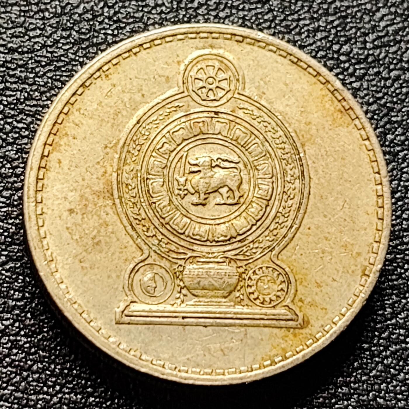 泉币菌-第100场-百场纪念 精品场