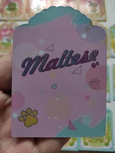 卡迷第5期，清仓 线条小狗 SR 31张