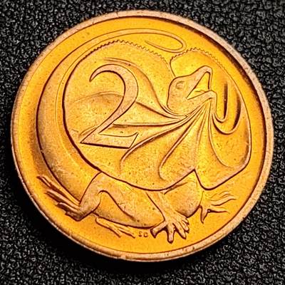 泉币菌-第100场-百场纪念 精品场 - 原铜光UNC 美品 1984年 英属澳大利亚2分铜币 伞蜥蜴斗篷蜥 21.5mm