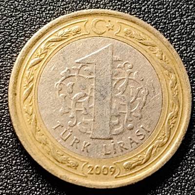泉币菌-第100场-百场纪念 精品场 - 土耳其1里拉双色币 凯末尔总统 26mm