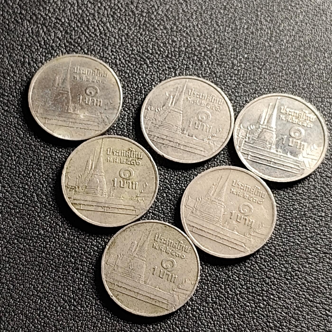 泉币菌-第100场-百场纪念 精品场