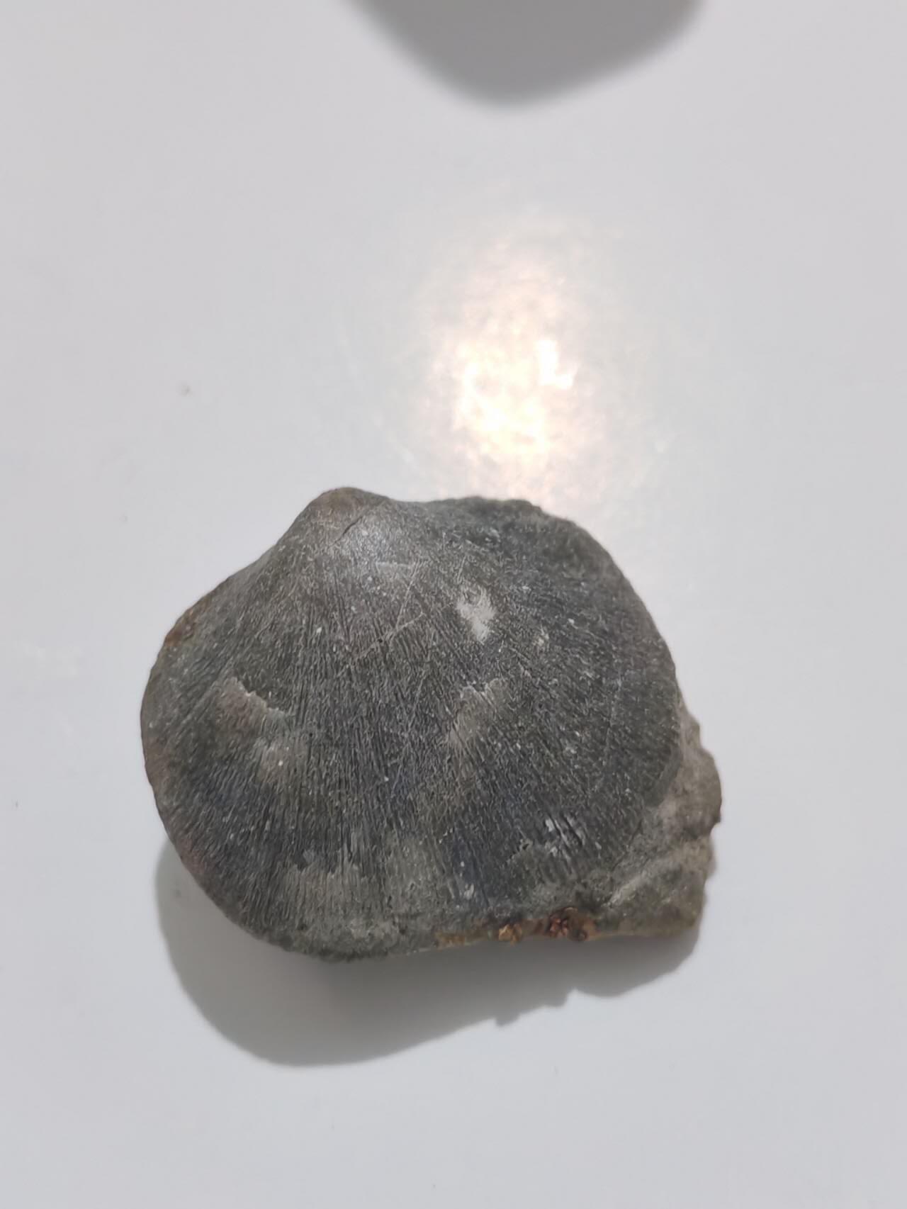 卡片/化石/像章/香炉/押印/杂件，处理