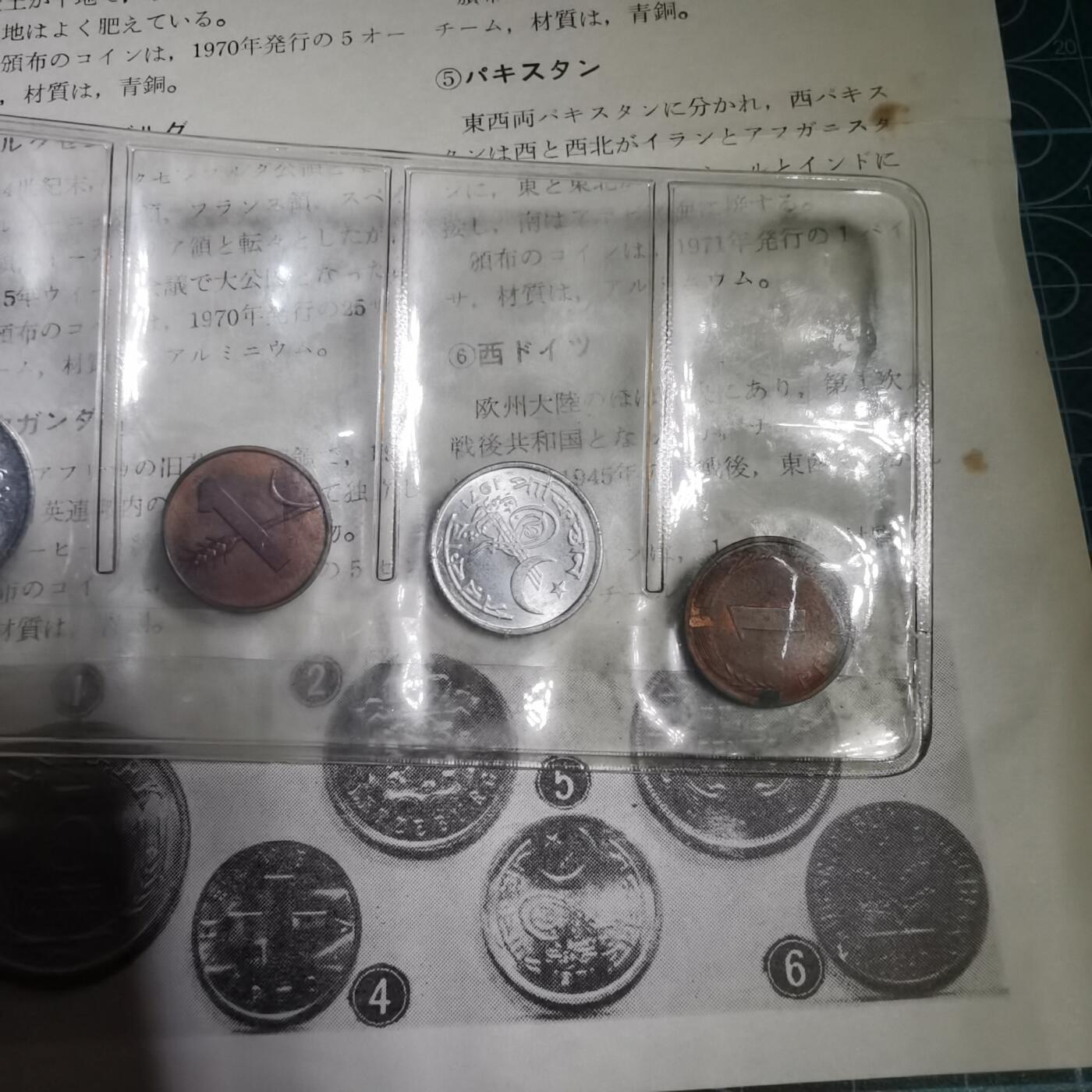 沼泽如烟--第821场
