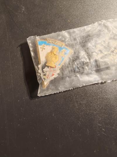 老王徽章第145期 - 法国第34工兵团证章    原袋