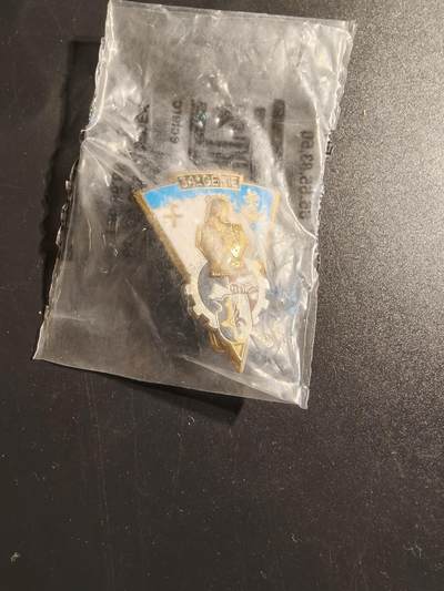 老王徽章第145期 - 法国第34工兵团证章    原袋