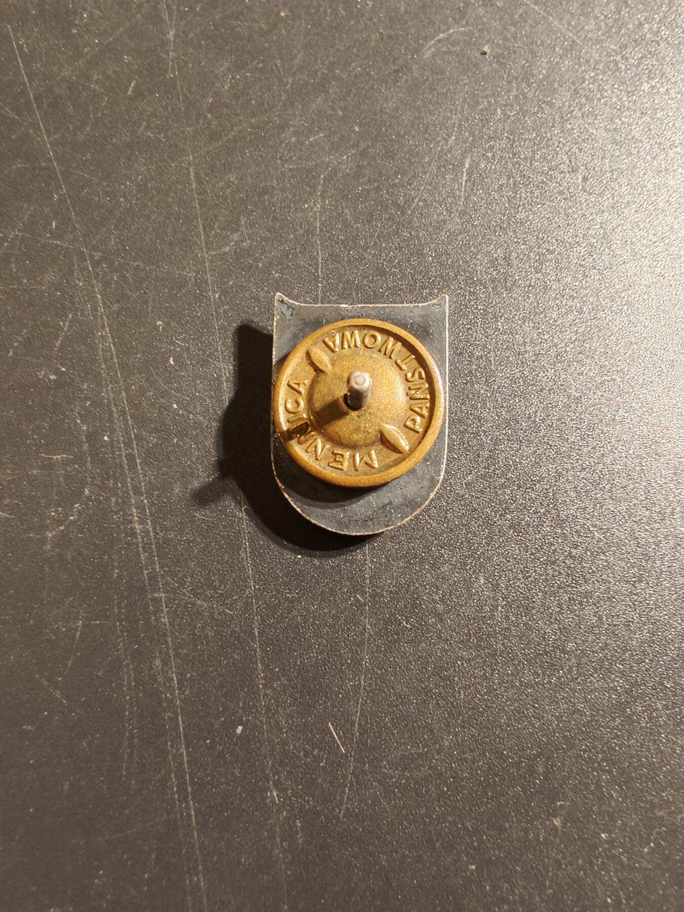 老王徽章第145期